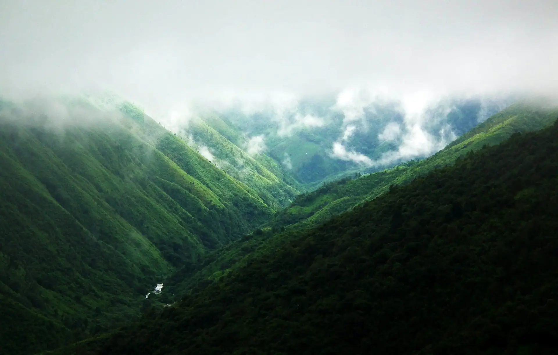 Green ridges fading into cloud around Cherrapunji