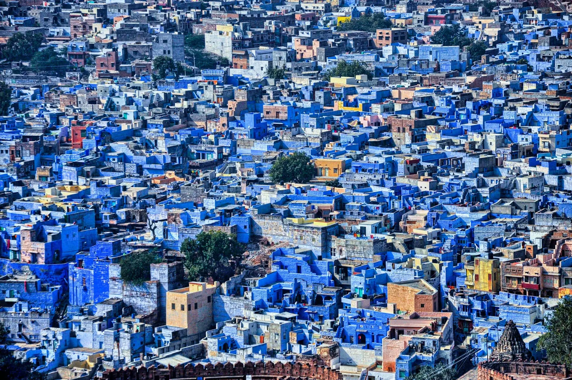 A sea of blue-washed houses in Jodhpur's old city