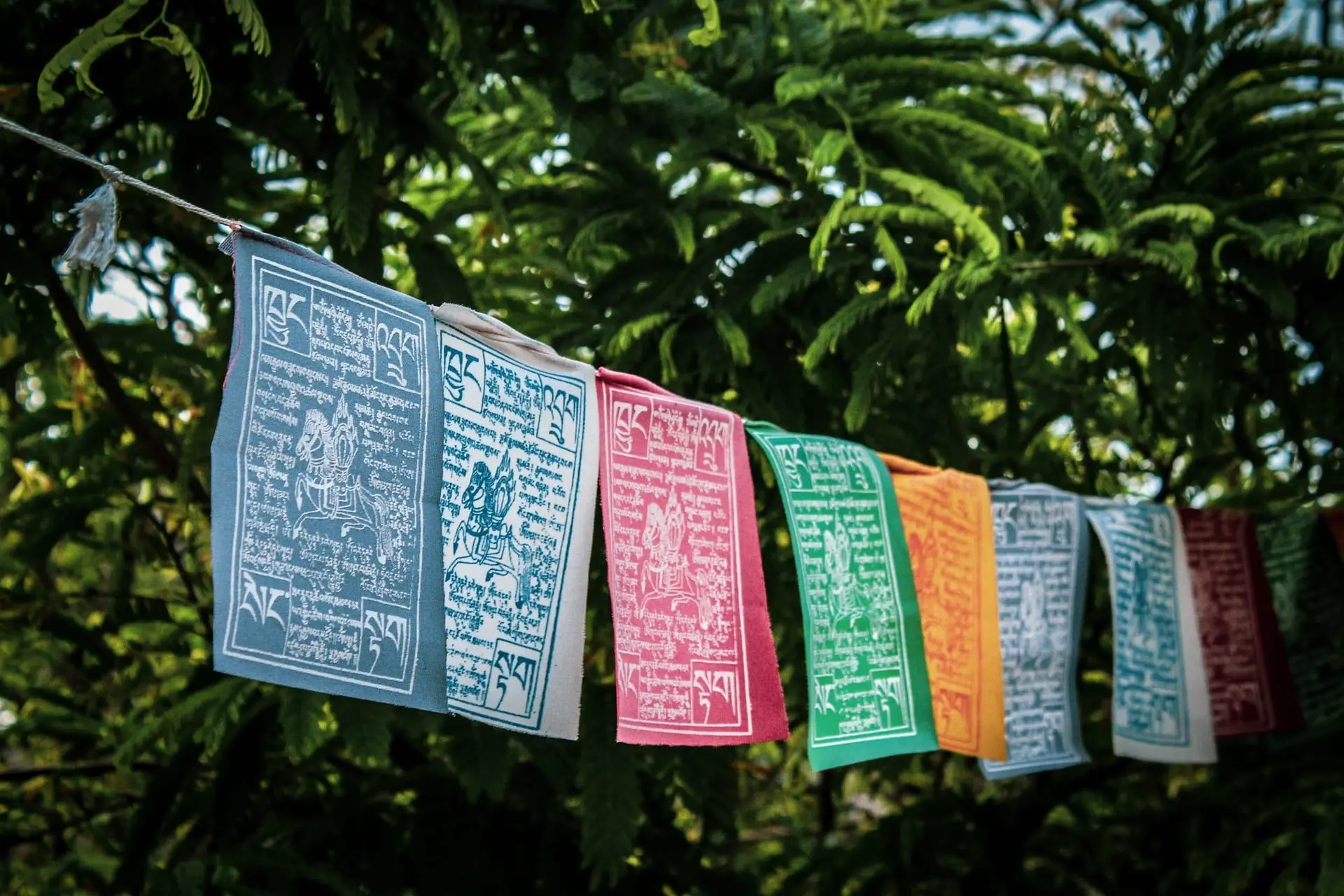 Prayer flags strung across a green Sikkim hillside